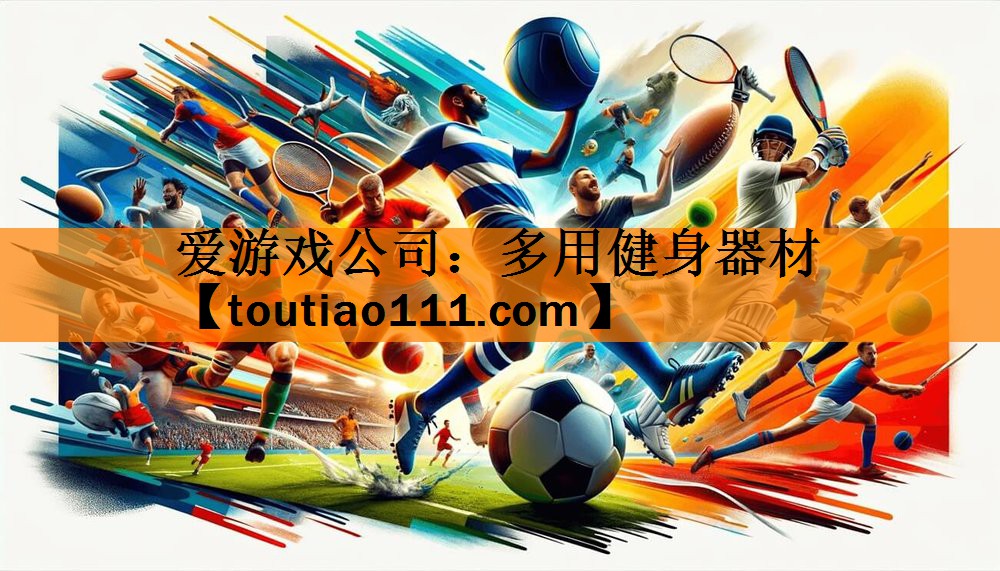 爱游戏公司：多用健身器材